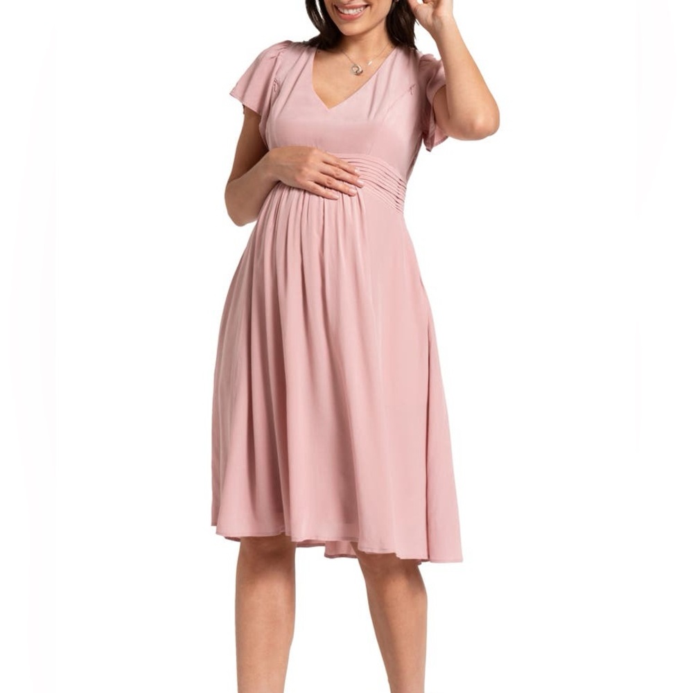 Seraphine Short Flutter Maternity and Nursing Dress